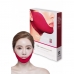 Лифтинг-маска для лица Perfect V Lifting Premium Plus Mask